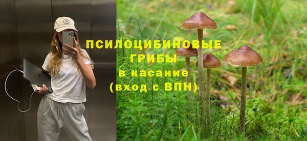 экстази Белокуриха