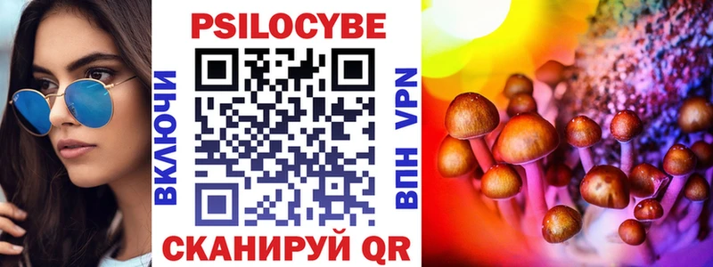 Галлюциногенные грибы Psilocybine cubensis  наркошоп  Кодинск 